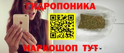 спайс Славгород