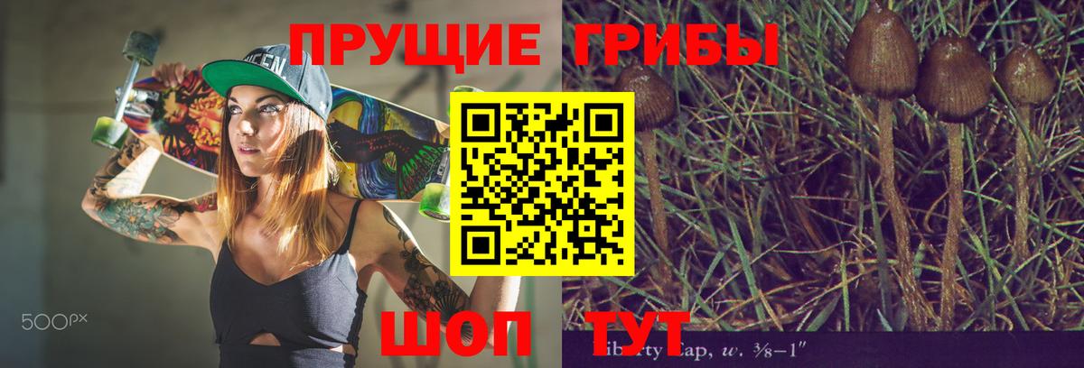 Галлюциногенные грибы Psilocybe  Псилоцибиновые грибы ЛСД  Норильск  Вход с VPN 